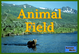 AnimalField_Box.png